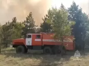 Крупный лесной пожар в Тарасовском районе потушили за два дня