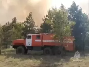 Причиной крупных лесных пожаров в Тарасовском районе стали молнии