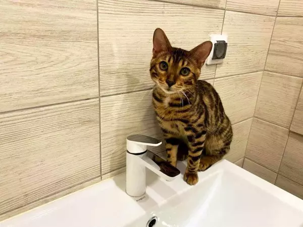 В Ростове сорвали сроки подачи воды в Советский район
