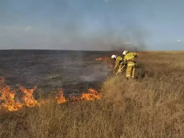 В Ростовской области объявили чрезвычайную пожароопасность с 5 июня