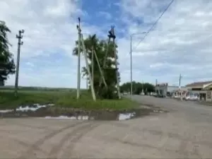 Разбил голову кувалдой: подробности жестокого убийства женщины под Ростовом