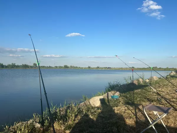 В Ростове рыбаки остались без улова на платном водоеме