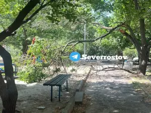 В Ростове на Северном огромные ветви упали на детскую площадку