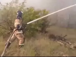 Площадь лесного пожара в Ростовской области увеличилась до 117 гектаров