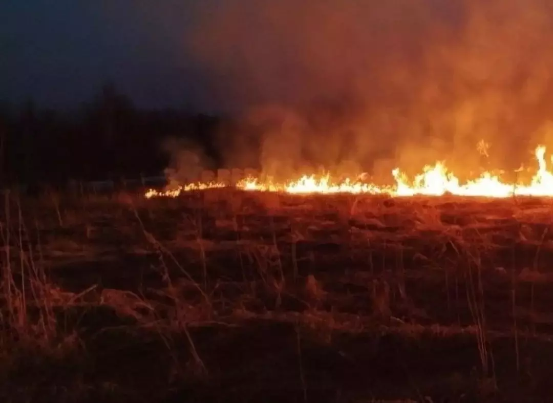 Пожар в хуторе Мержаново потушили на следующий день