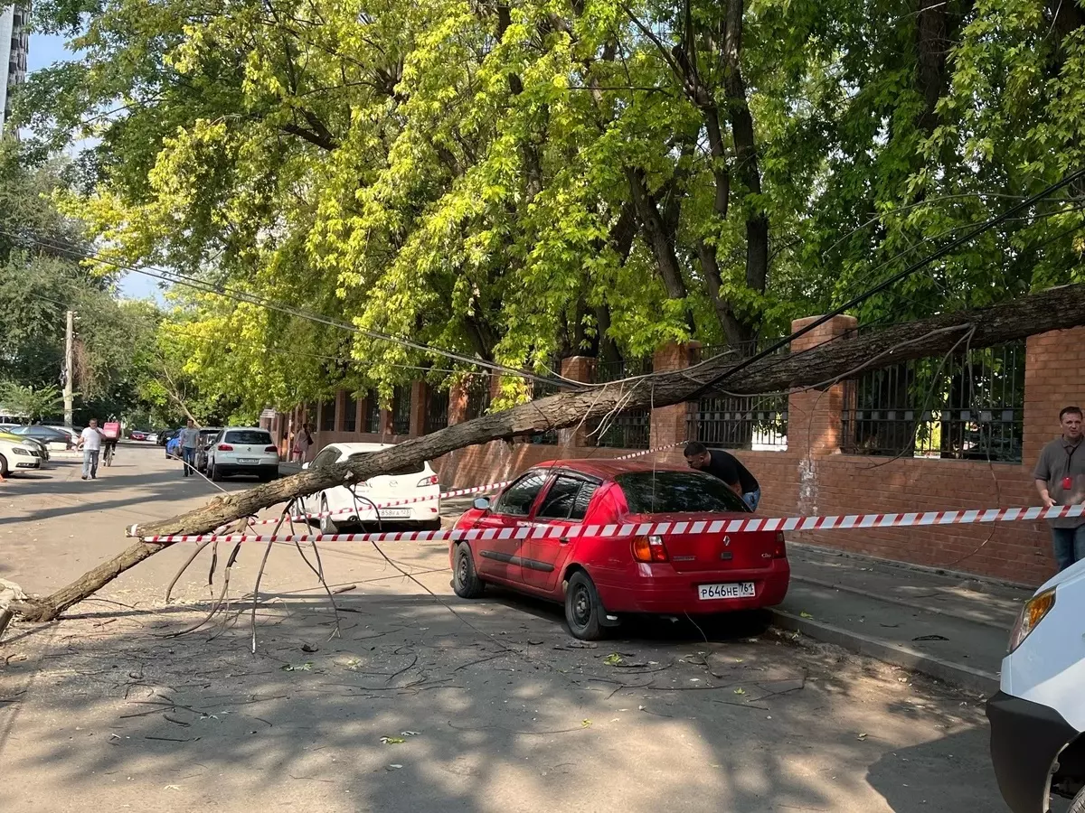 В центре Ростова упавшее дерево повисло на электропроводах