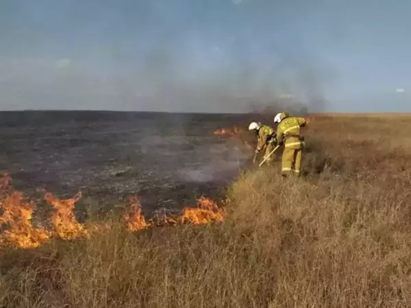 В Ростовской области 1 августа ожидается чрезвычайная пожароопасность