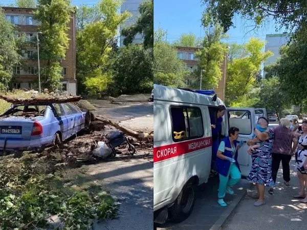 В Ростове на Немировича-Данченко часть сухого дерева упала на маму с коляской