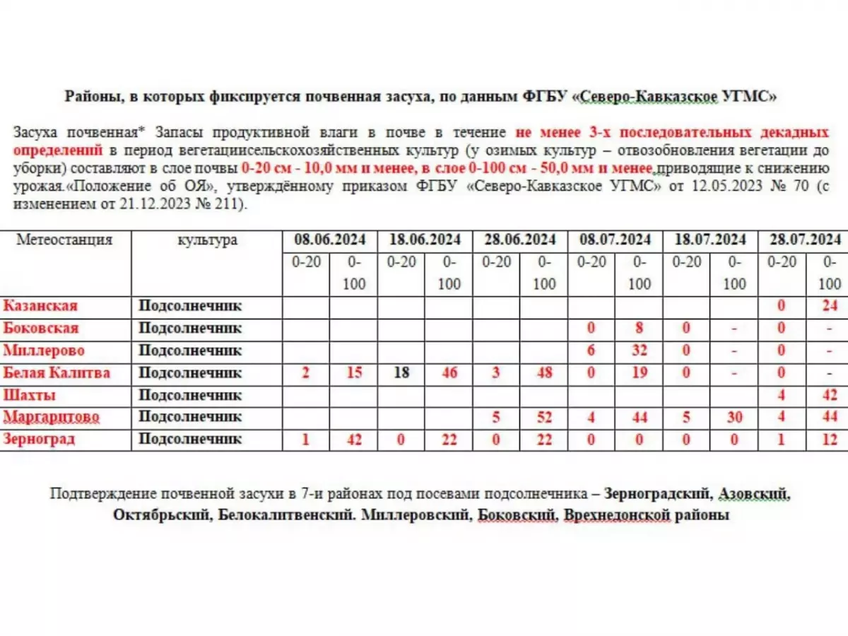 Урожай подсолнечника под угрозой из-за сильной засухи в Ростовской области