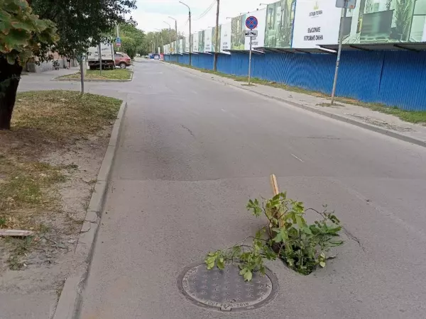 В Ростове на Тибетской водители заткнули дорожную яму ветками