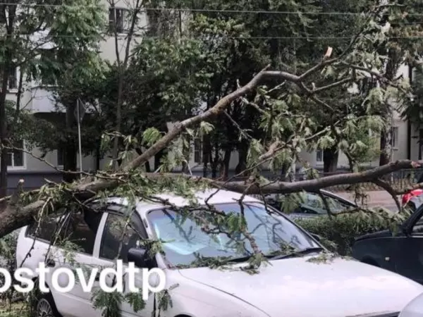В Ростове на Пушкинской дерево упало на автомобиль