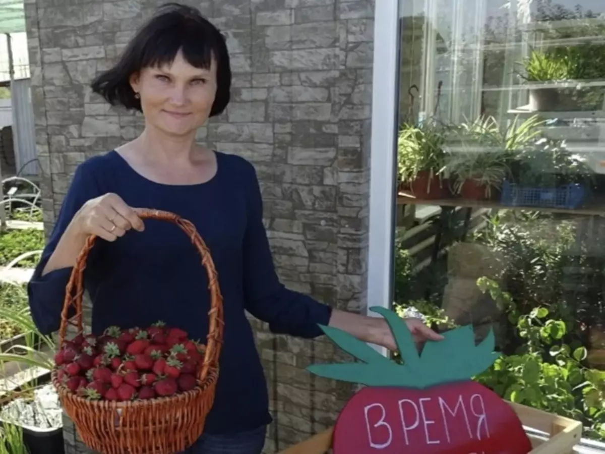Дачница из Ростовской области назвала шесть мест, которые не подходят для посадки малины
