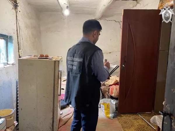 В Ростовской области 80-летняя женщина убила мужа металлической мясорубкой