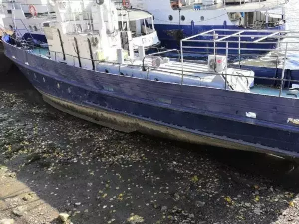В Ростовской области из-за сильного ветра понизился уровень воды