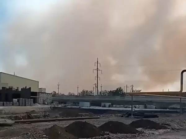 Ландшафтный пожар под Каменском-Шахтинским потушили