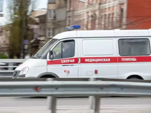 Ростовские врачи достали из желудка девочки камень из волос