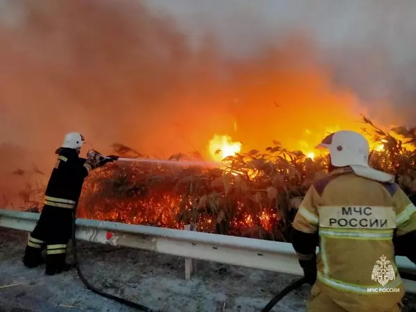 За неделю в Ростовской области произошло 63 пожара