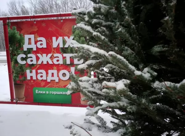 С 1 декабря в Ростове откроют 30 елочных базаров