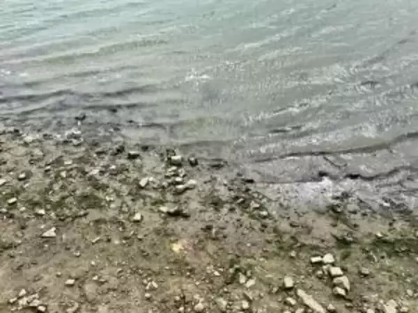 Уровень воды в реке Дон снизится до критических отметок 6 декабря