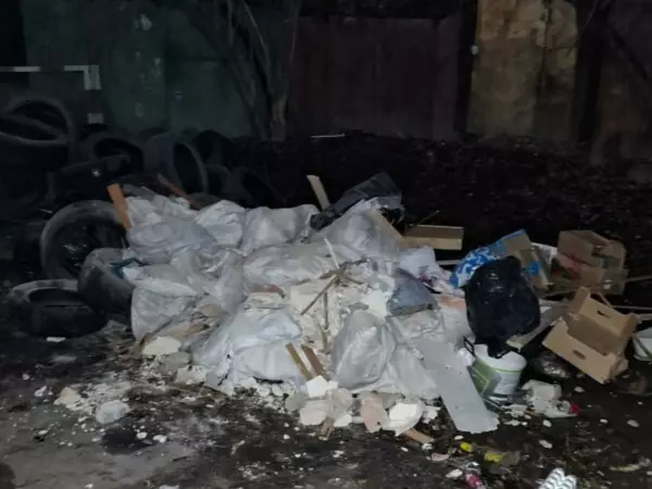 В Ростове на улице Ленина образовалась свалка около мусорных контейнеров