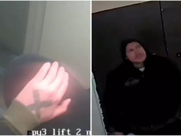 Полиция задержала живодера, стрелявшего в собаку из арбалета в Ростове