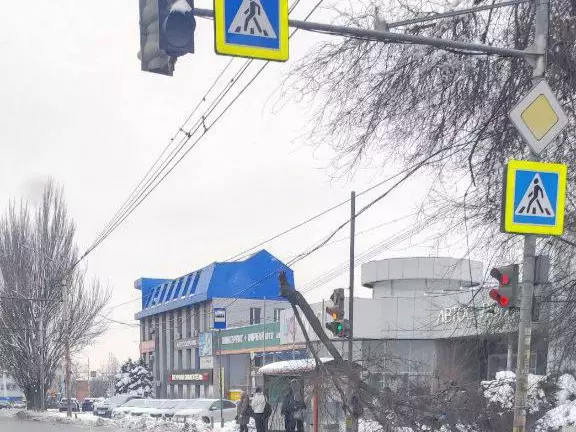 В Ростове огромное дерево повисло на проводах