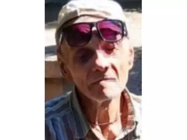 Живым нашли пропавшего без вести 83-летнего мужчину в Ростовской области