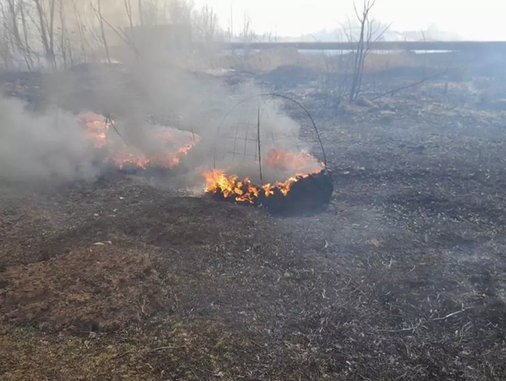 В Волгодонске вспыхнул крупный ландшафтный пожар