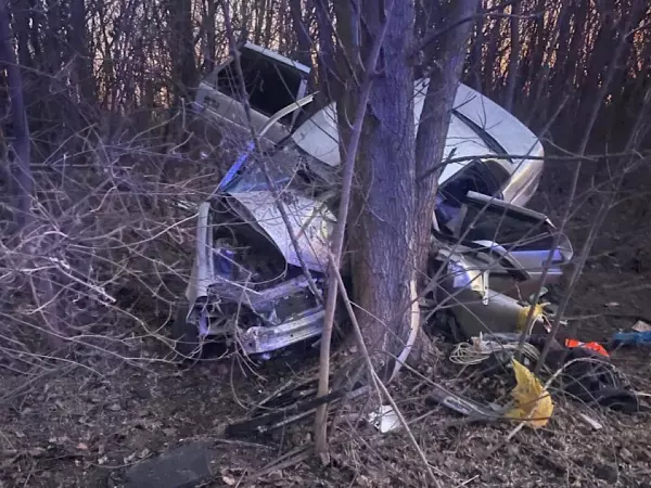 В Аксайском районе пострадал водитель легковушки, врезавшись в дерево