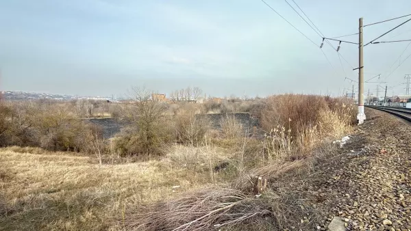 Последствия сильного пожара в районе Ботанического сада в Ростове
