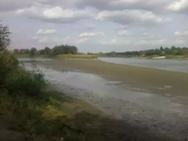 В Ростовской области запас воды в реке Дон упал вдвое ниже нормы