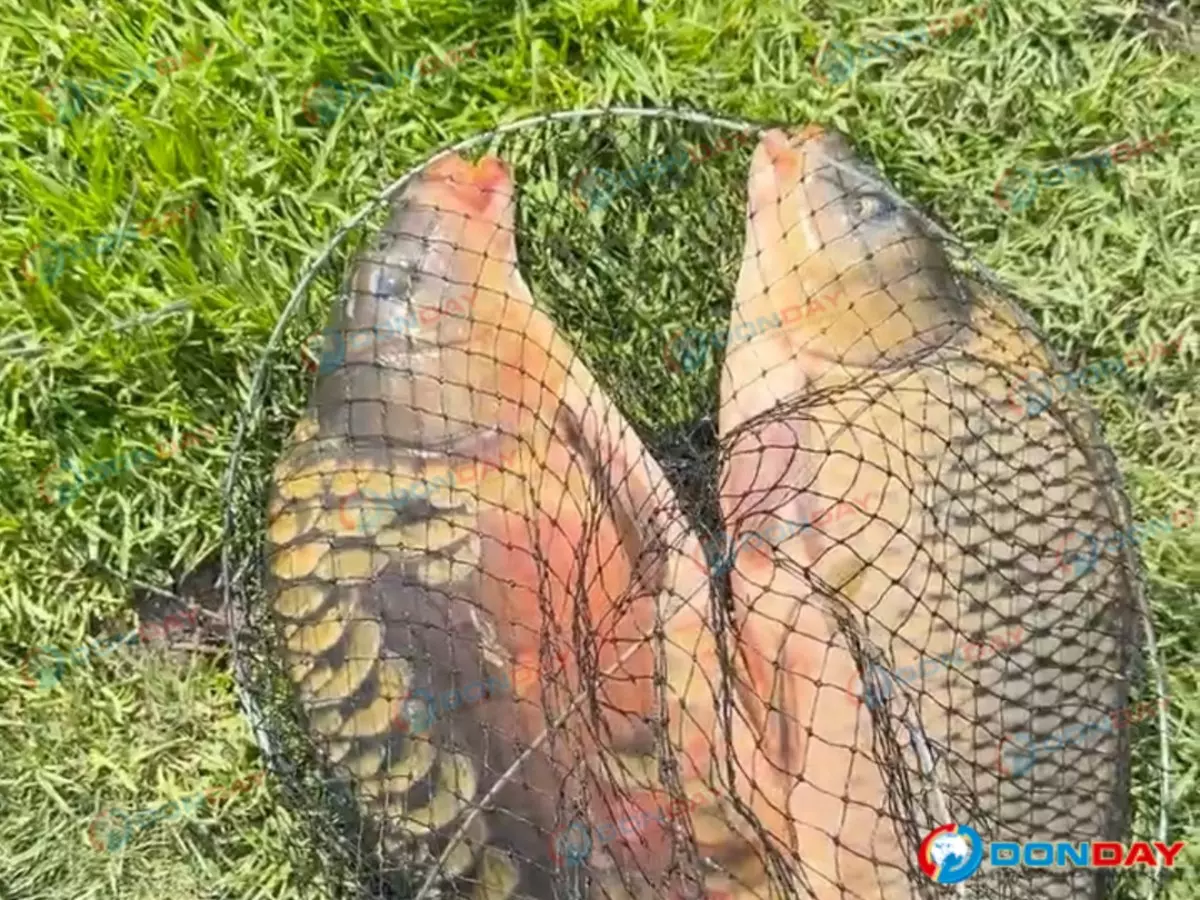 Қазақтың жалаңаш сұлу қыздары