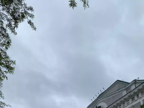 Прохладную и дождливую погоду прогнозируют на выходных в Ростове
