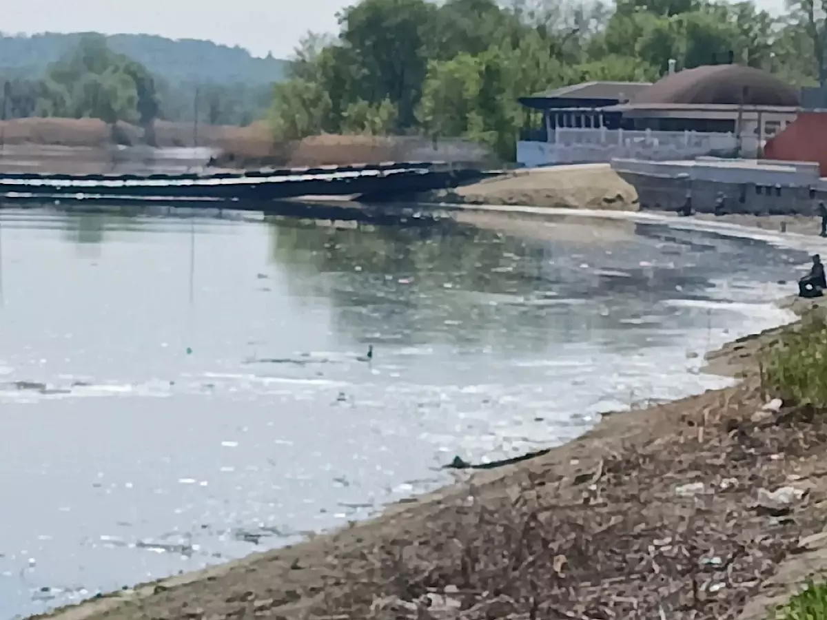Жителей Каменска ужаснуло состояние реки Северский Донец