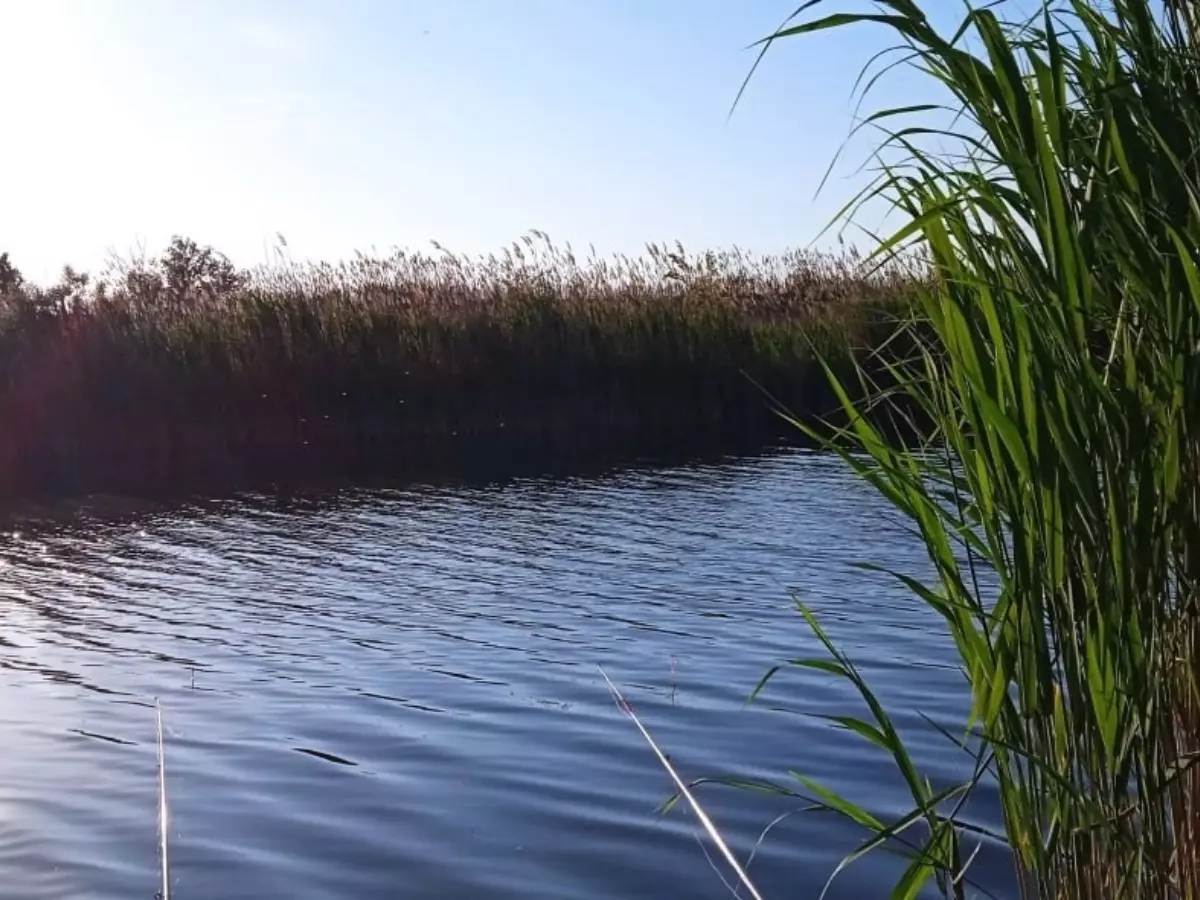 В Ростовской области соленая вода из Азовского моря попала в Дон и городские водозаборы