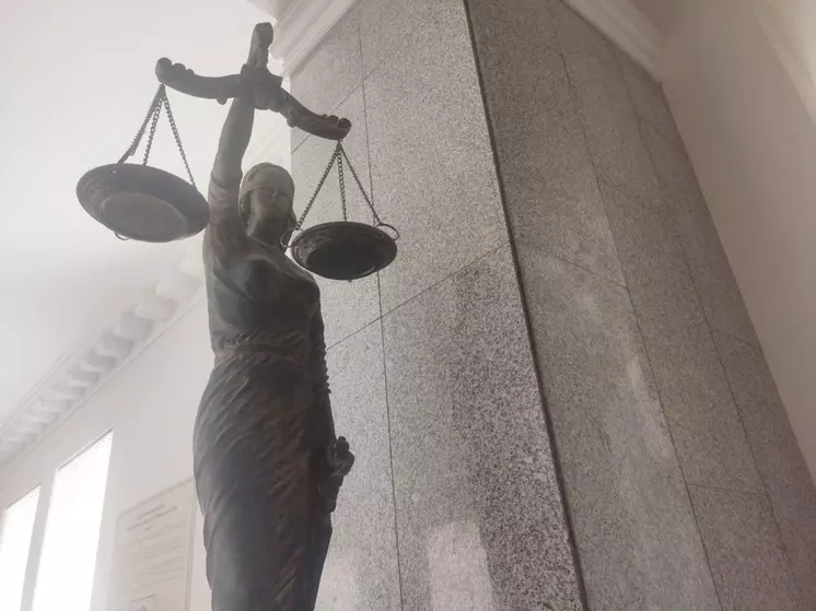 Суд в Ростове приговорил мужчину к 17 годам колонии за терроризм