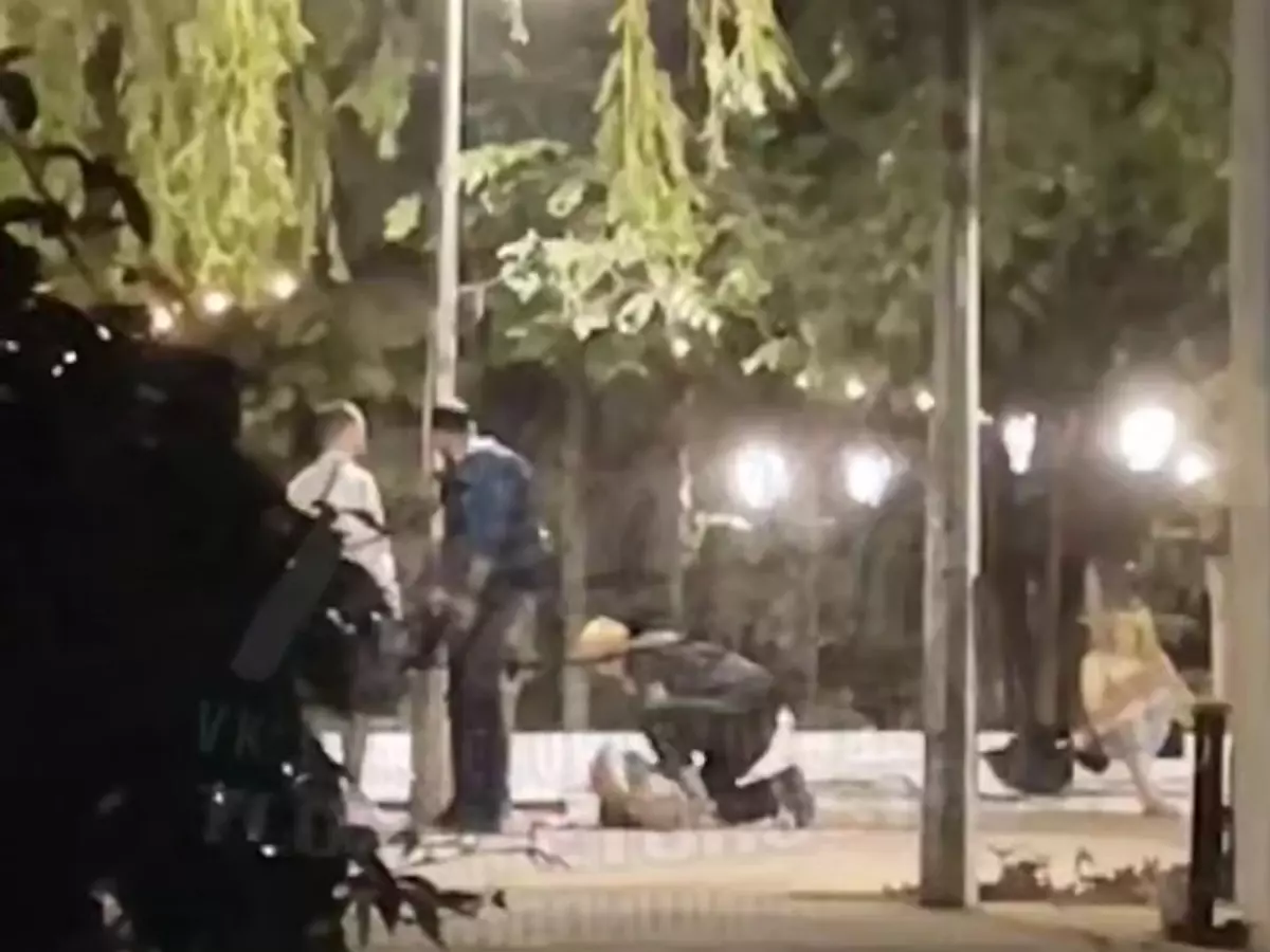 В парке Горького в Ростове произошла драка между компанией молодых людей