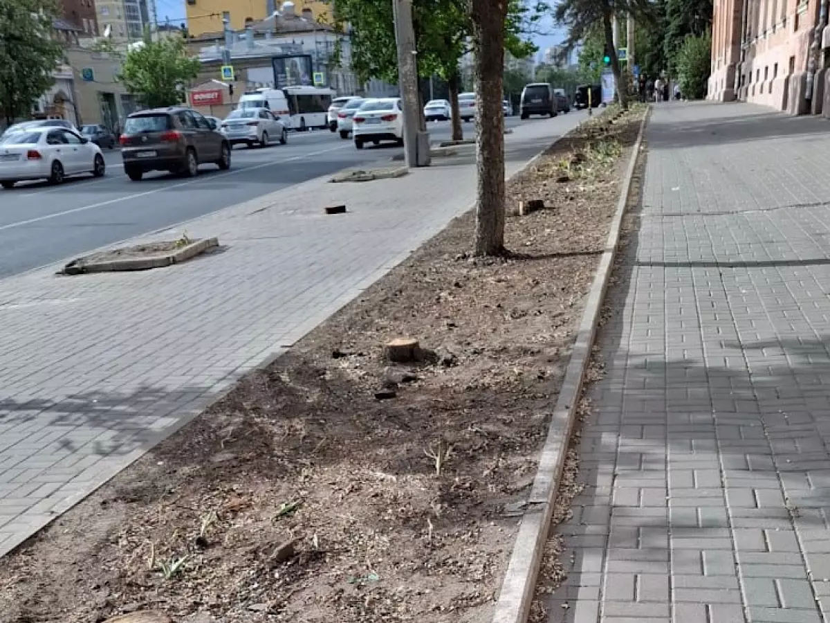 В Ростове возле заброшенного ликероводочного завода на Буденновском вырубили деревья