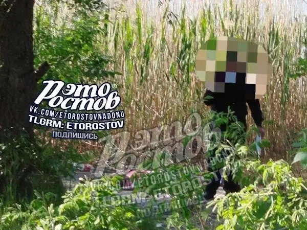 В Ростове на Зеленом острове нашли тело женщины