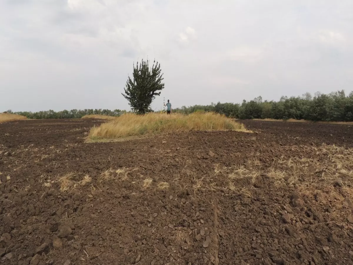 В Ростовской области 24 кургана признали объектами культурного наследия