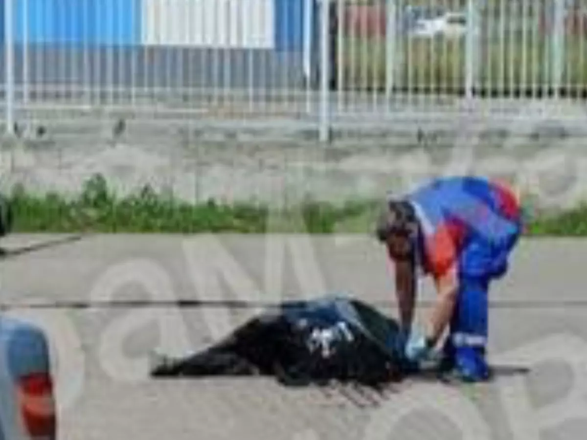 В Ростове на Левенцовке парень выпал из окна и разбился насмерть