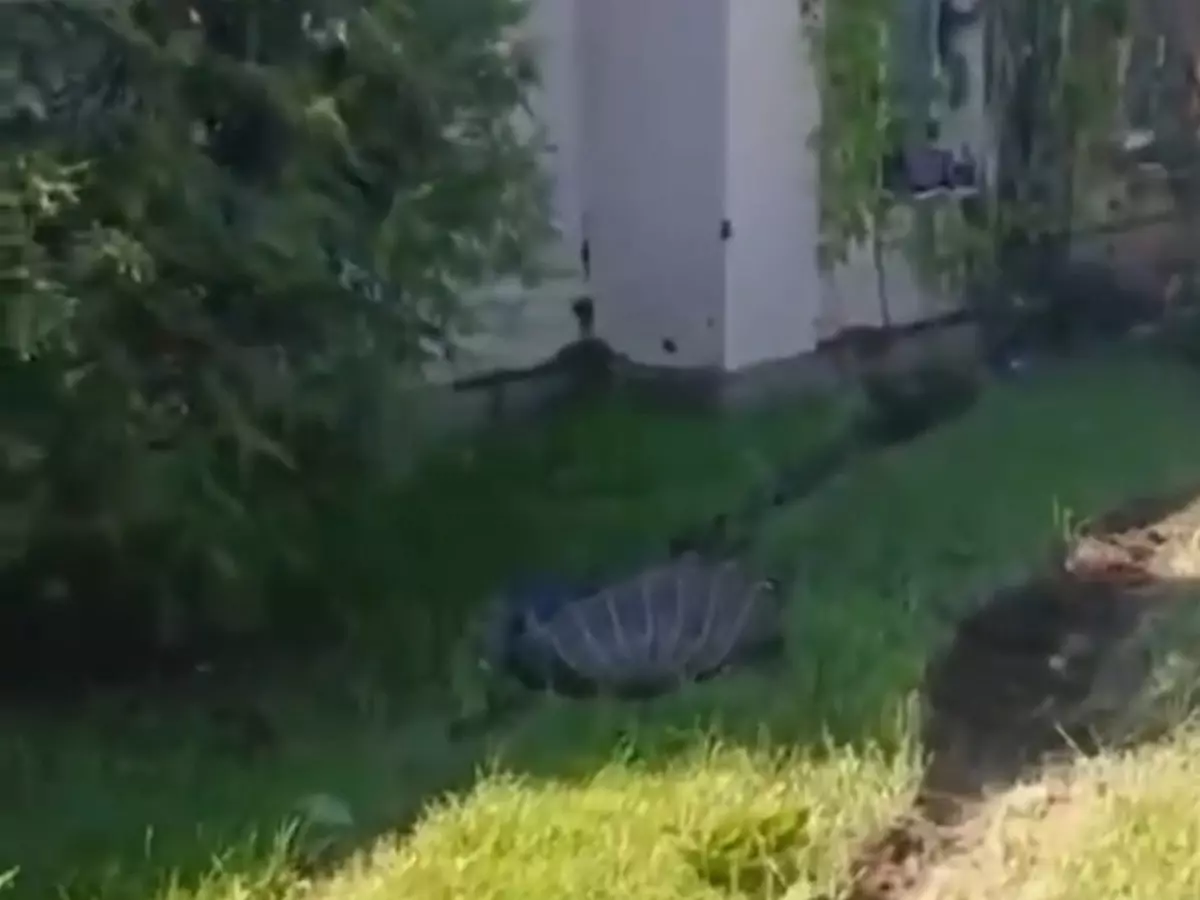 В Красном Сулине водитель легковушки врезался в частный дом