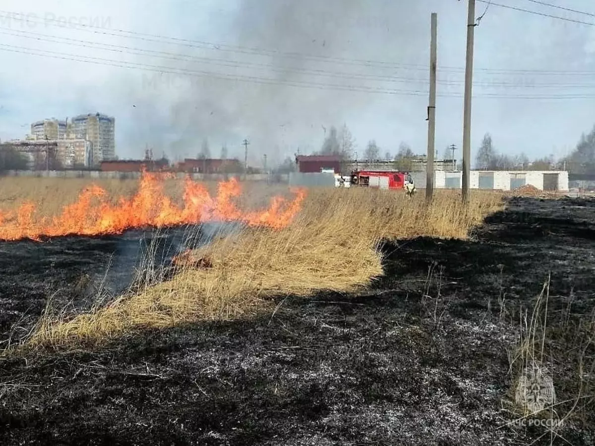 В Ростовской области на большой площади горела сухая трава