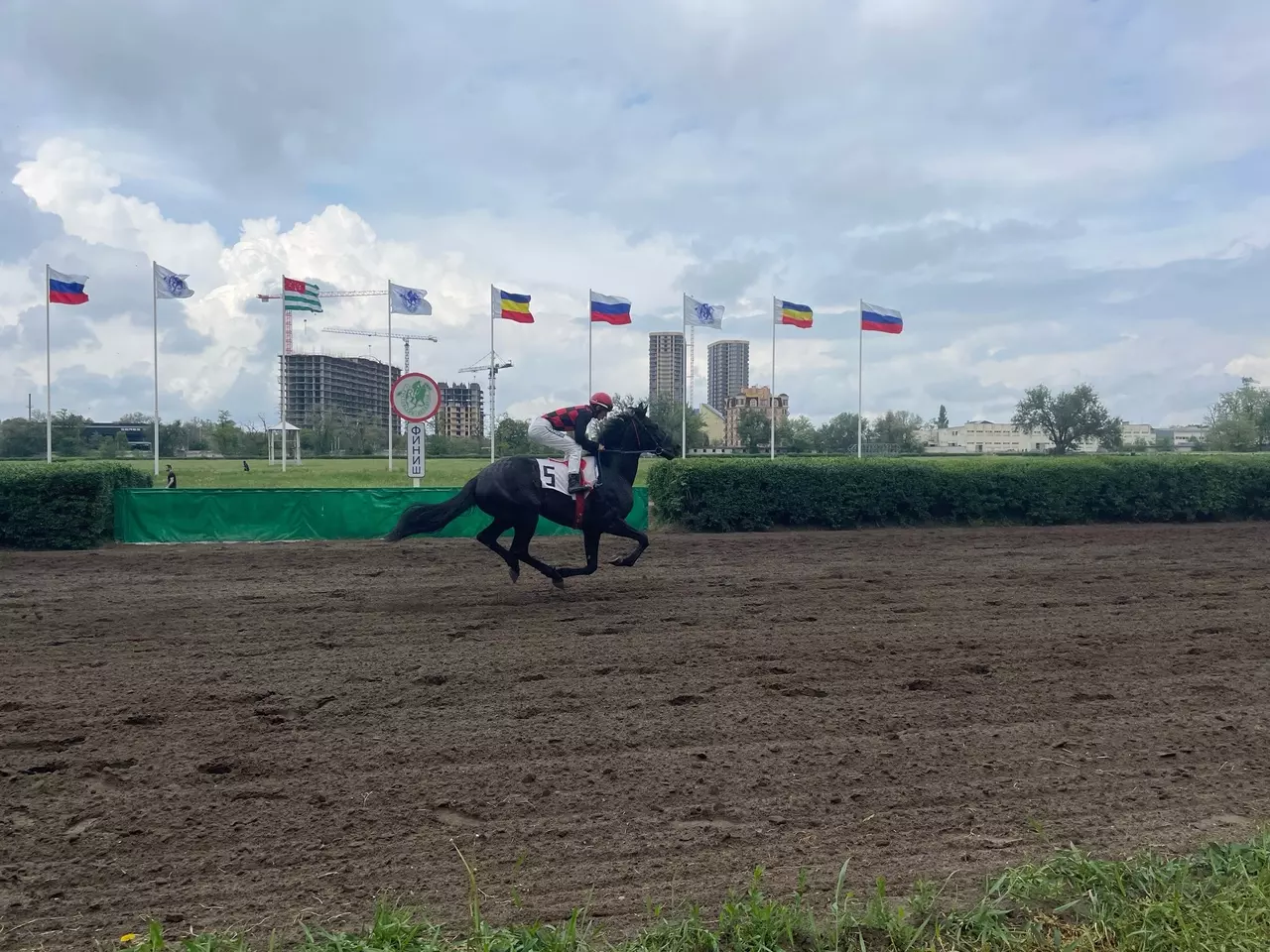 Скачки на Ростовском ипподроме: Фоторепортаж