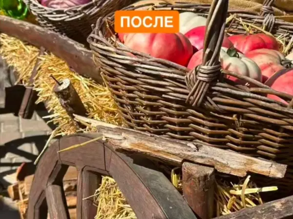 В парке «Лога» неизвестные разрушили фотозону 1 мая