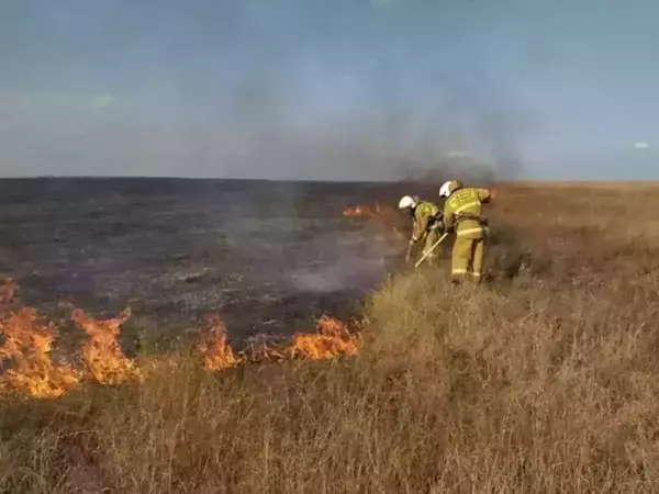 В Ростовской области объявлен оранжевый уровень пожароопасности