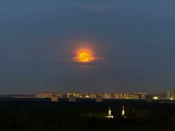 Жители Ростова поделились кадрами Цветочного полнолуния