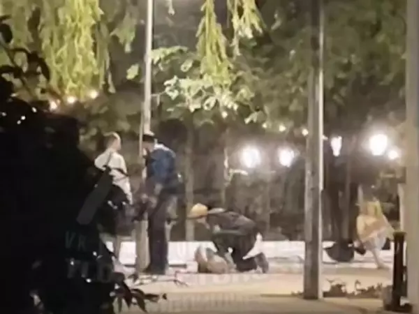 В парке Горького в Ростове произошла драка в компании молодых людей
