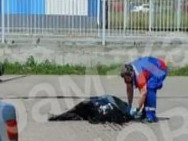 В Ростове на Левенцовке парень выпал из окна и разбился насмерть