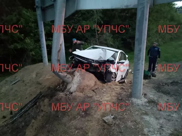 В Ростовской области водитель и пассажир иномарки пострадали, врезавшись в столб